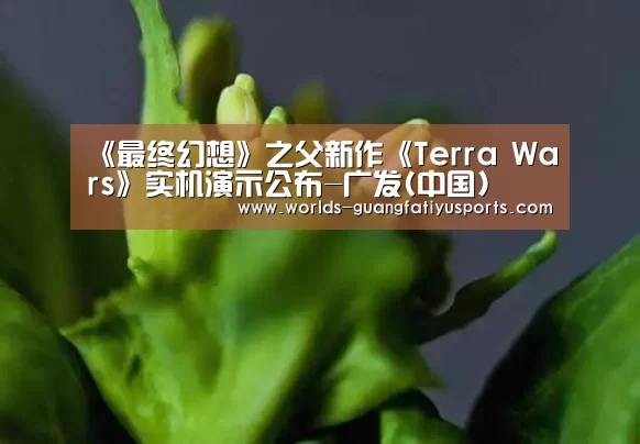《最终幻想》之父新作《Terra Wars》实机演示公布-广发(中国)(图1) 广发体育