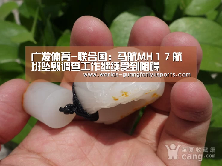 广发体育-联合国:马航MH17航班坠毁调查工作继续受到阻碍(图1) 广发(中国)