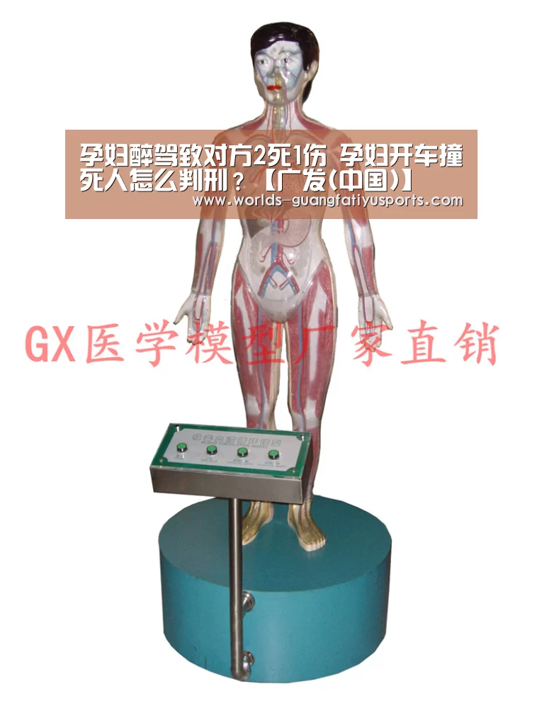 孕妇醉驾致对方2死1伤 孕妇开车撞死人怎么判刑?【广发(中国)】(图1) 广发(中国)